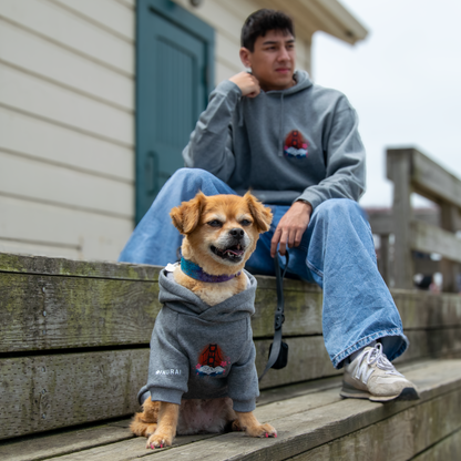 A man and a small dog sit on weathered wooden steps outdoors. Both are wearing matching gray hoodies with a red and white graphic on the chest.