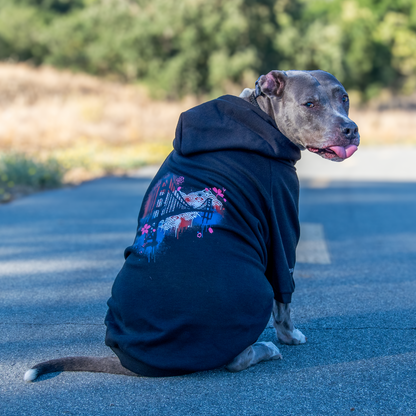 A gray pitbull-type dog sitting on a paved road outdoors, wearing a black hoodie with a colorful graphic print on the back.