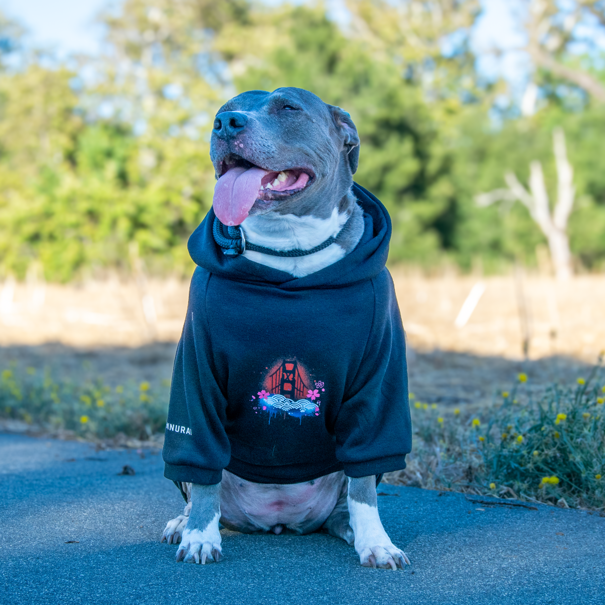 A gray and white dog wearing a navy blue dog hoodie sits on a paved path outdoors with trees and dry grass in the background.