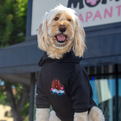 A fluffy cream-colored dog wearing a black hoodie with a colorful graphic of the Golden Gate Bridge, standing outdoors in front of a storefront.
