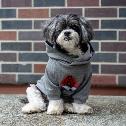 A small gray Shih Tzu dog wearing a gray hoodie with a red and blue Golden Gate Bridge graphic on the chest, sitting on a concrete surface in front of a brick wall.