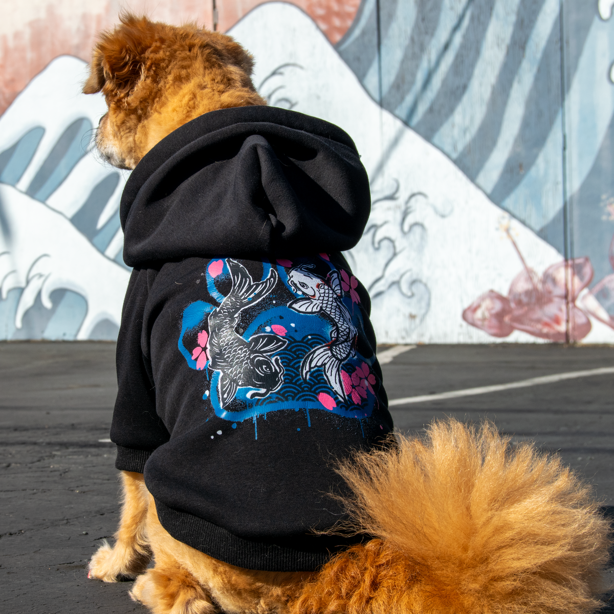 A fluffy golden-brown dog sits with its back to the camera wearing a black hoodie with a colorful fish graphic on the back, set against a painted mural wall.