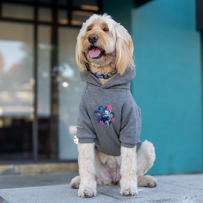 A fluffy cream-colored dog wearing a gray dog hoodie with a colorful graphic on the chest, sitting on a sidewalk in front of a modern building with teal columns.