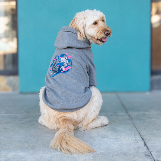A small cream-colored dog sits on a concrete sidewalk wearing a gray hoodie with a colorful graphic on the back. The background features a bright turquoise wall and blurred storefront windows.